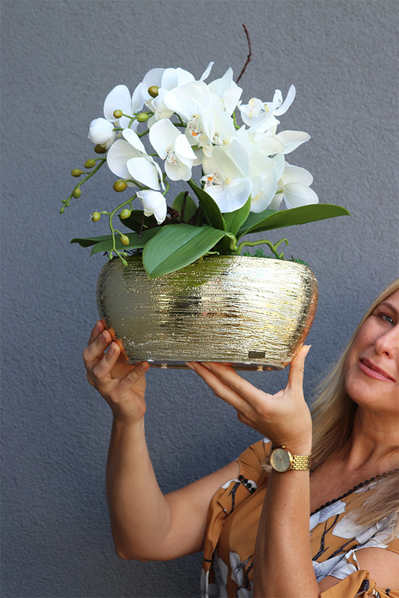 Goldisya Mini, elegancki storczyk w złotej osłonce, wys.38cm