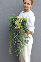 Green Delia, zielona kompozycja z sukulentami, wym.25x32cm 