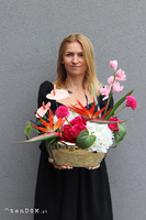 Streliziano, egzotyczna kompozycja ze strelicją