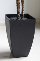 Palma Livistona Young, sztuczna roślina w doniczce