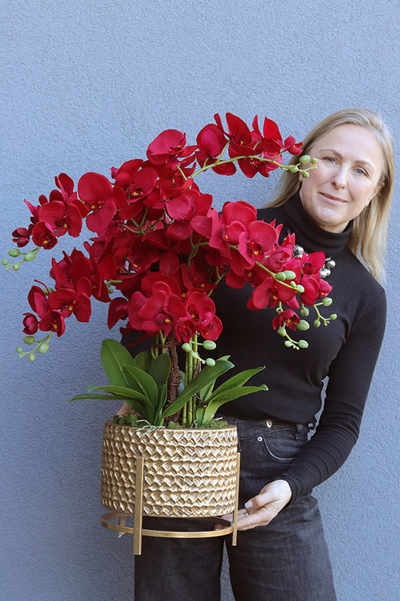 Miłość 3, karminowy welurowy storczyk