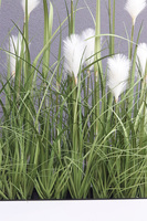 Jessica Classica, sztuczne trawy w białej donicy