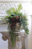 Bizett, sukulenty w ozdobnej donicy