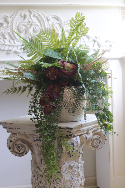 Bizett, sukulenty w ozdobnej donicy