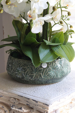 Nedila Wide, sztuczny storczyk w zielonej osłonce, wys.55cm 