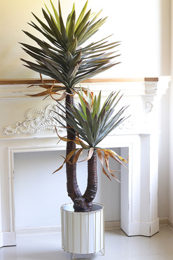 Jukka Miami, sztuczna roślina w donicy, wys.162cm