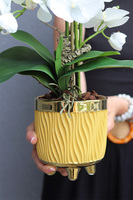 Yellow Orchid, sztuczny storczyk w żółtej doniczce