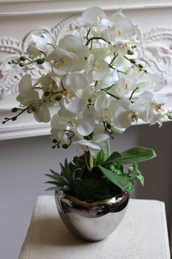 Silver Suculenti, sztuczny storczyk w lustrzanej donicy, wys.62cm