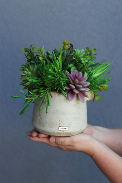 Industrial Stone Style, sukulenty w surowej donicy, wys.22cm
