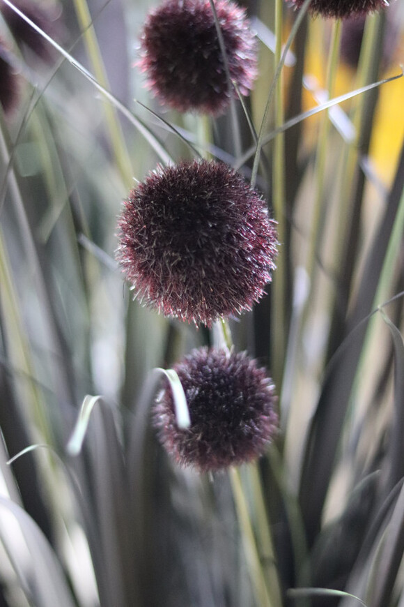 Black Mirror Glamour, sztuczna czarna trawa w donicy