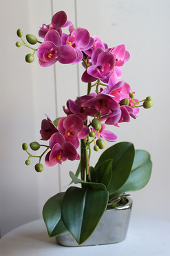 Pinkobella Fuksja, gumowy storczyk w lustrzanej donicy, wys.42cm
