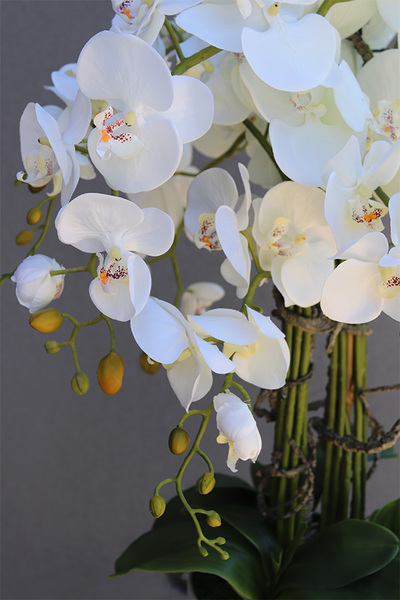 Designeta, elegancki storczyk w donicy na trójnogu, wys.143cm 