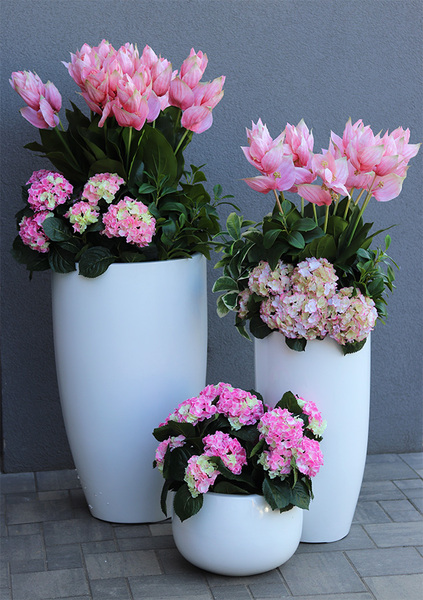 Hortensje Walter donica fiberglass z hortensjami,