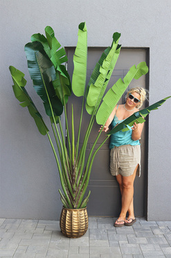 Bananowiec Bellis, sztuczna roślina w donicy, wys.220cm 