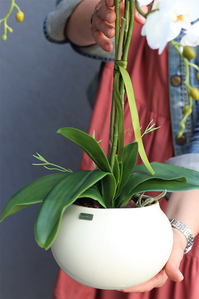 Grefina, sztuczny storczyk w kremowej donicy, wys.50cm