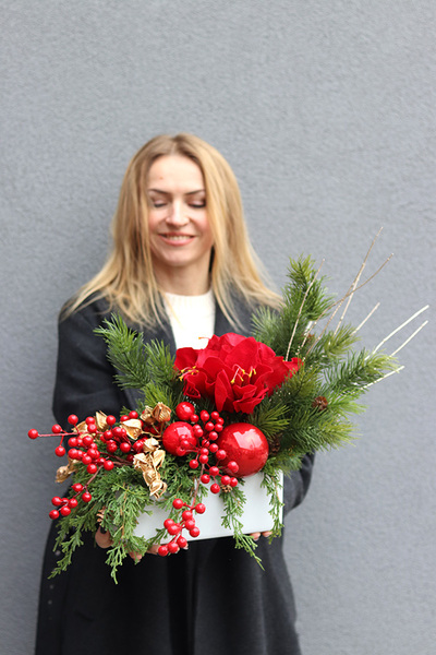 Amarylis Winter Gold A, świąteczna kompozycja z czerwonymi kwiatami