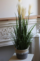 Kłossi Boho, trawy w koszu