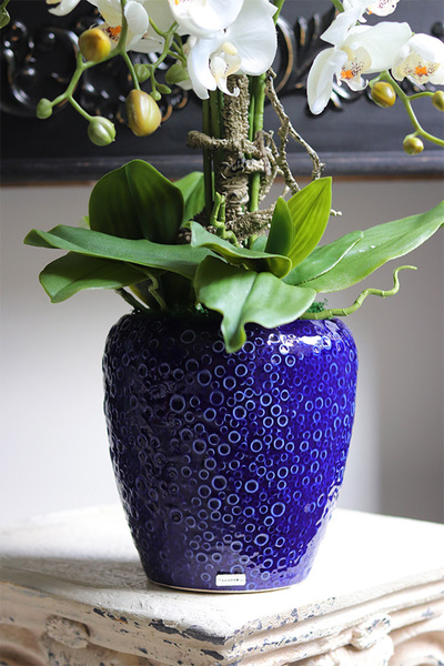 Belia Blue, biały sztuczny storczyk w niebieskiej donicy