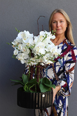 Nullina Black, sztuczny storczyk w czarnej misie, wys.63cm 