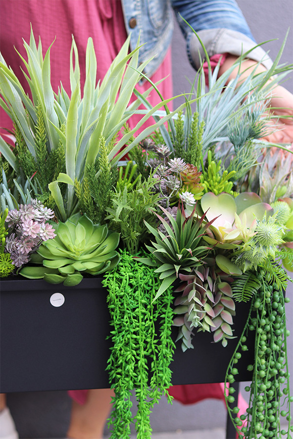 Asia Modern Resato 2, sukulenty w donicy na stojaku