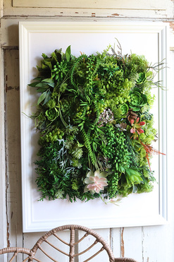 atrakcyjna jednostronna rama, Hotels Sukulenty New, wym.77x57cm