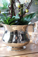 Eveline Elegance, sztuczny storczyk w pucharze