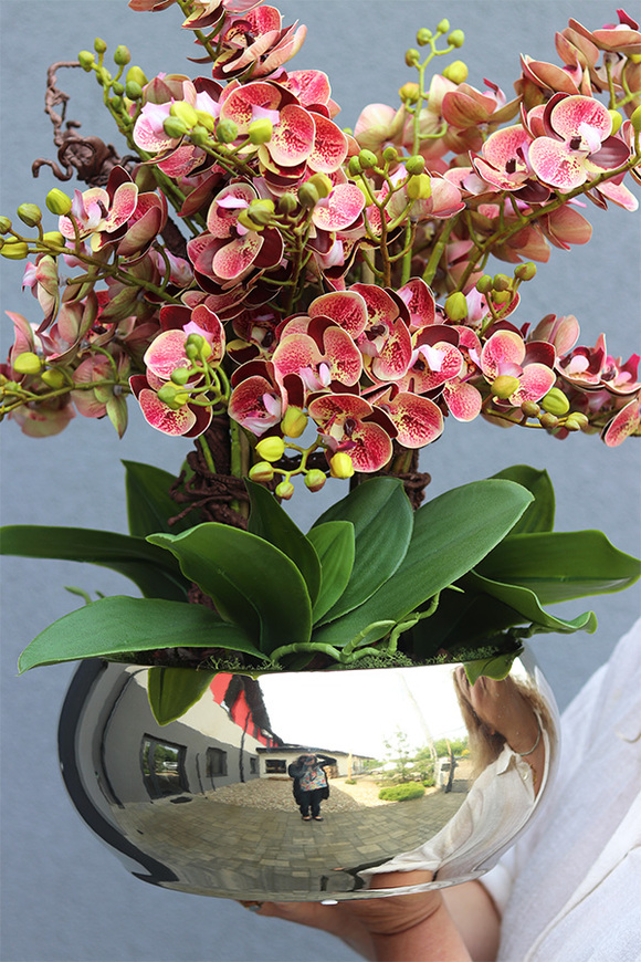 Korelle Granada, sztuczny storczyk w złotej misie