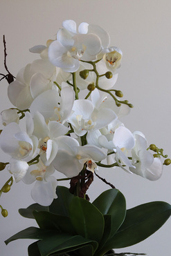 OD RĘKI Biel Mineni 2, stylowy storczyk w doniczce ze wzorem, wys.47cm