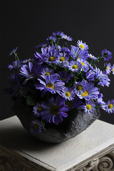 Volcan Blue, fioletowo-niebieskie kwiaty w ciężkim naczyniu