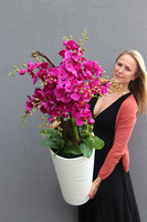 Gizelle Fuksja, wysoki sztuczny storczyk w białej donicy, wys.135cm