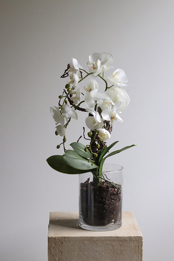 Glassier Como 2, sztuczny storczyk w szklanej tubie