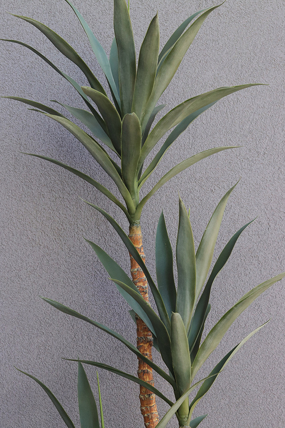 Jukatan Fiberglass, sztuczna roślina w czarnej donicy