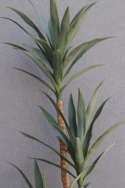 Jukatan Fiberglass, sztuczna roślina w czarnej donicy