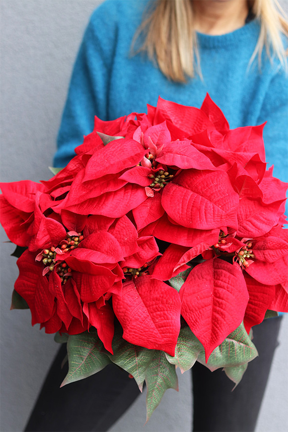 Gwiazda Betlejemska Green Deco, wysokiej jakości sztuczna roślina