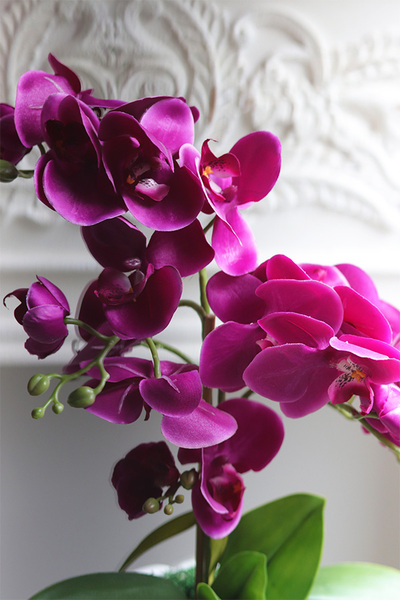 Redute Fuksja, sztuczny storczyk w ażurowej donicy