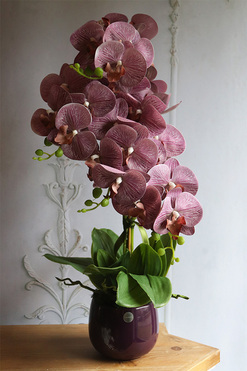 Nemia Hermana, fioletowy gumowy storczyk w doniczce, wys.67cm   