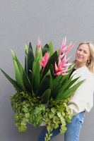 Helikonia Saute Round, kompozycja kwiatowa do Twojej donicy