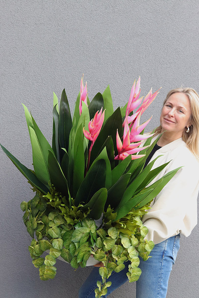 Helikonia Saute Round, kompozycja kwiatowa do Twojej donicy