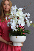 Japandi Orchid 4, sztuczny storczyk w ceramicznym pucharze