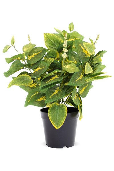 Koleus / Pokrzywka A, sztuczna roślina w osłonce / donicy, wym.40x28x28cm
