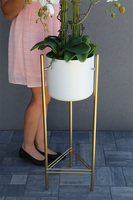 Designeta, elegancki storczyk w donicy na trójnogu, wys.143cm 
