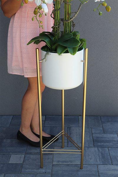 Designeta, elegancki storczyk w donicy na trójnogu, wys.143cm 