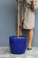 Oliwka Ares Blue, sztuczne drzewko w kobaltowej donicy