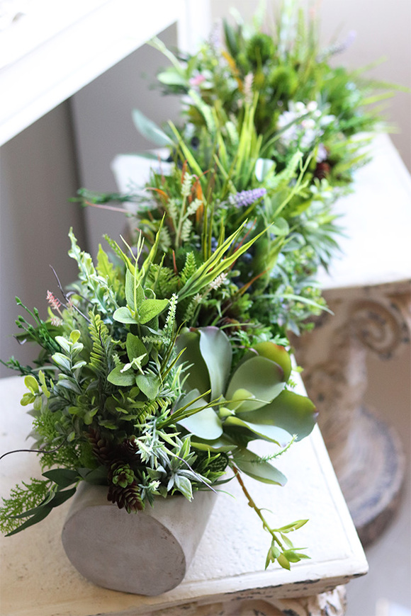 kompozycja sukulenty w długiej donicy, Hektor Modenato