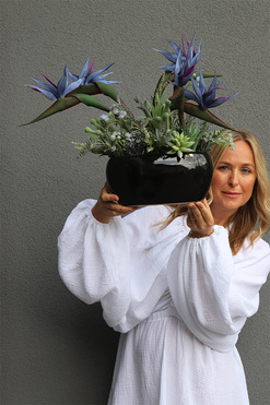 Strelicja Moonlight, egzotyczna kompozycja w donicy, wys.45cm