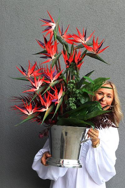 Cooler Strelicja&Friends, egzotyczna kompozycja w coolerze