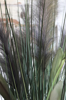 Grey, kompozycja czarne trawy w donicy, wys.128cm