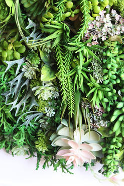 atrakcyjna jednostronna rama, Hotels Sukulenty New, wym.77x57cm