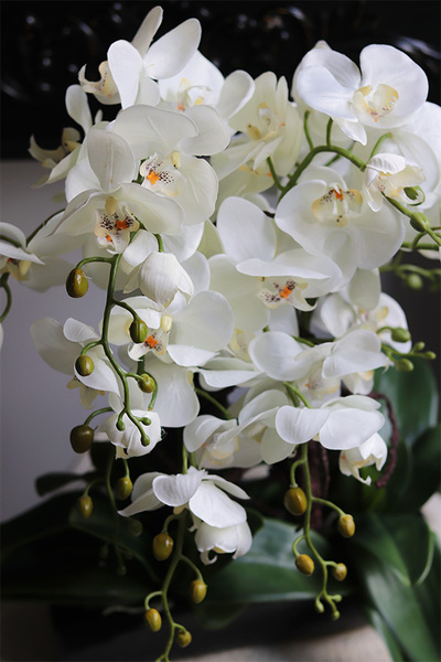 Czarna Elegancja, sztuczny storczyk w podłużnej doniczce