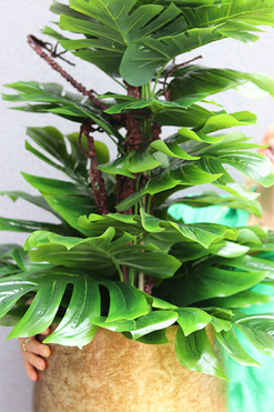 Monstera Gold Hillton 2, drzewko sztuczne w donicy, wys.110cm 
